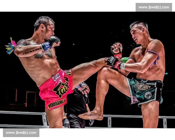 播求对决崔洪万巅峰之战力量与技术的终极碰撞谁能称王擂台格斗夜