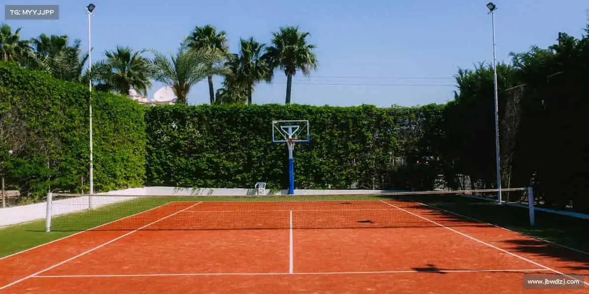 <strong>DB电竞官网</strong>以球会友，让快乐在赛场上传递🏀